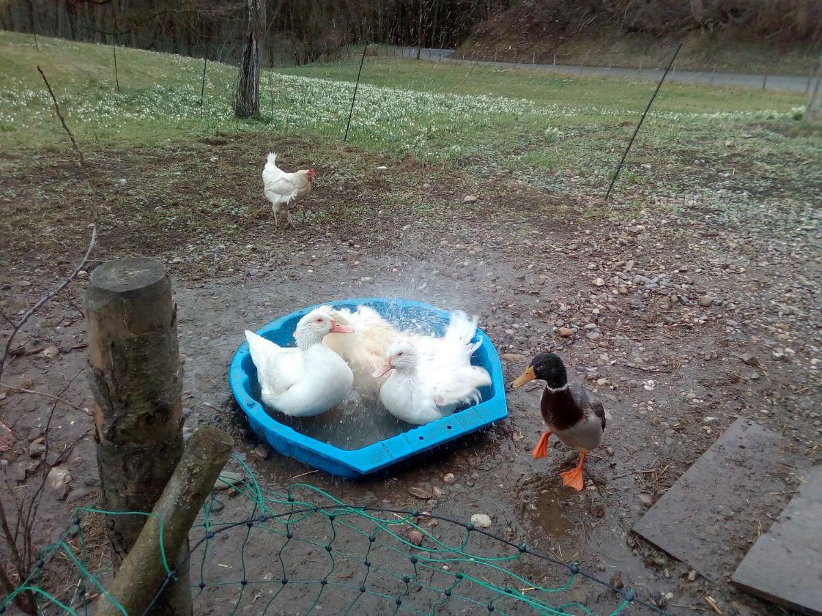Auf Dem Lechsberg Fuchstal
